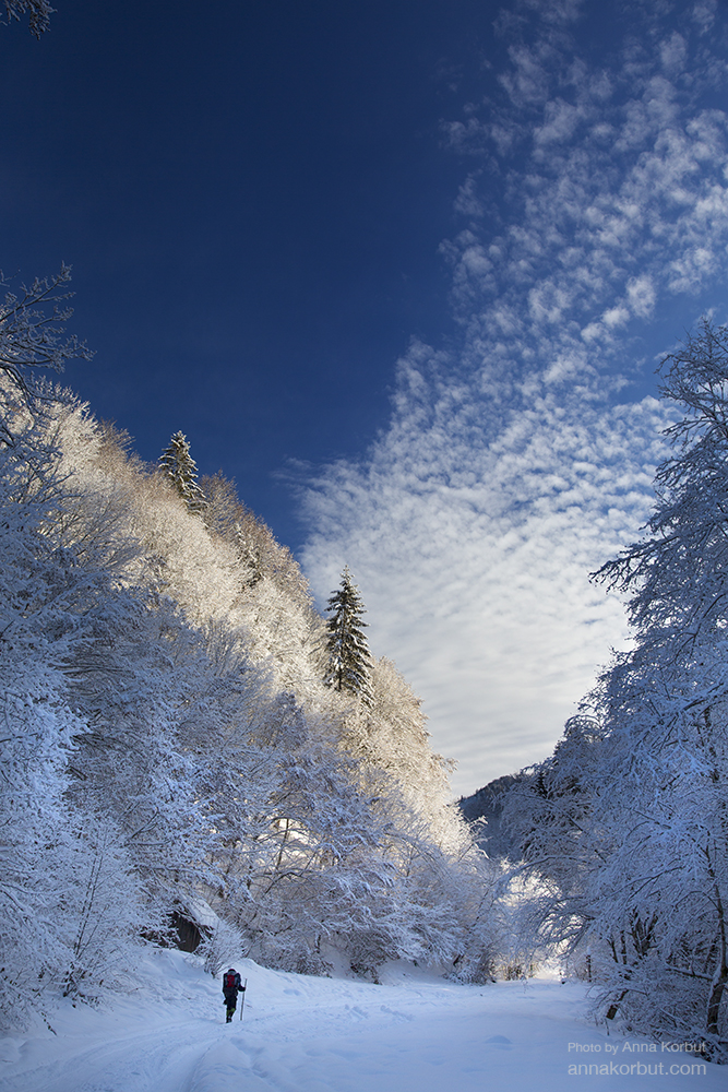 Winter hiking in Carpathian mountains, Ukraine